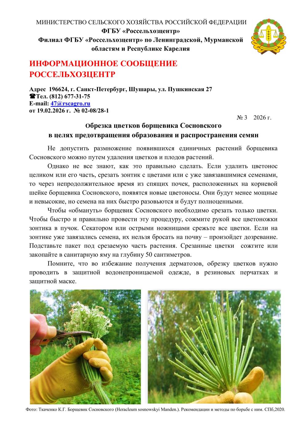 Россельхозцентр Информационное сообщение