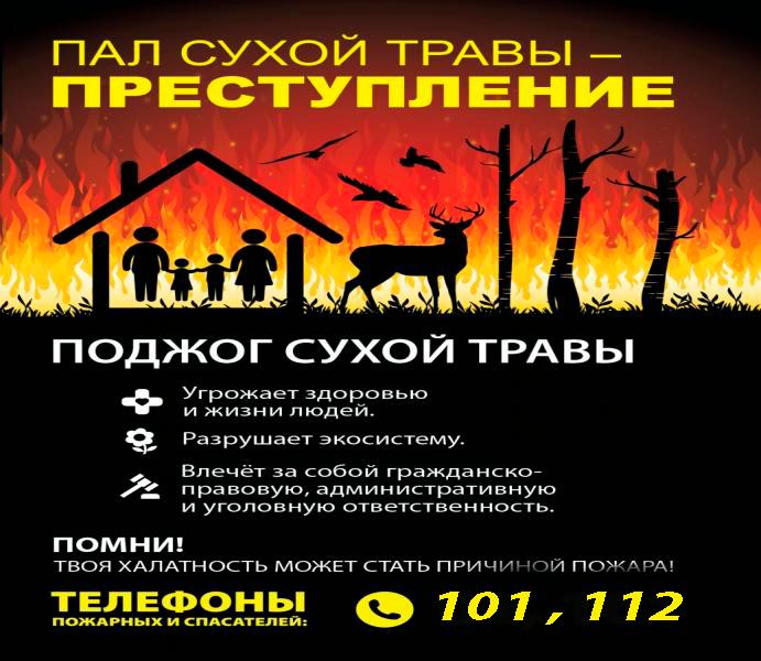 Пал травы