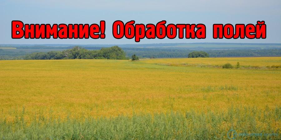 Обработка семенников многолетних трав пестицидом