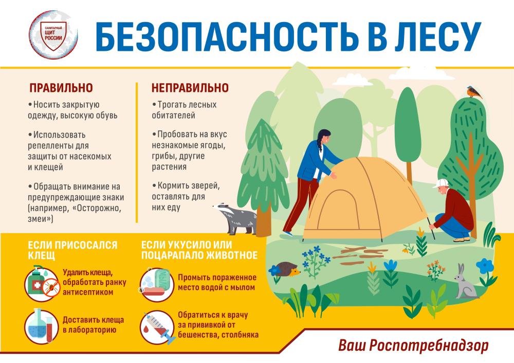 Безопасность в лесу