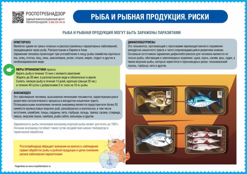 О профилактике инфекционных заболеваний, передающихся через рыбу