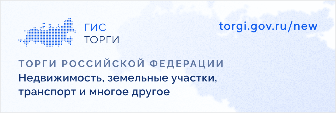 Торги гис. ГИС торги.