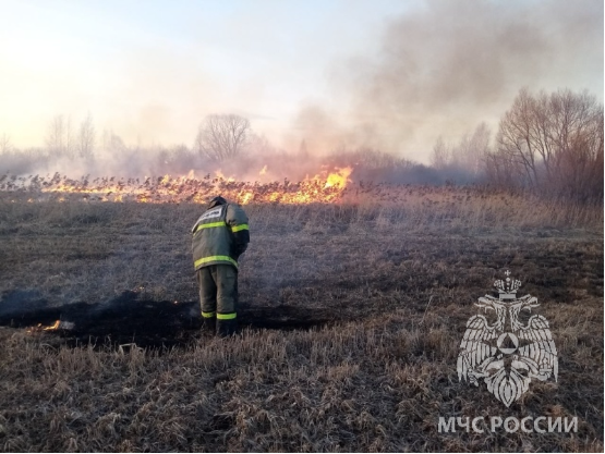 Сводка пожаров и меры пожарной безопасности 05.06.2026 и памятки пожарной безопасности